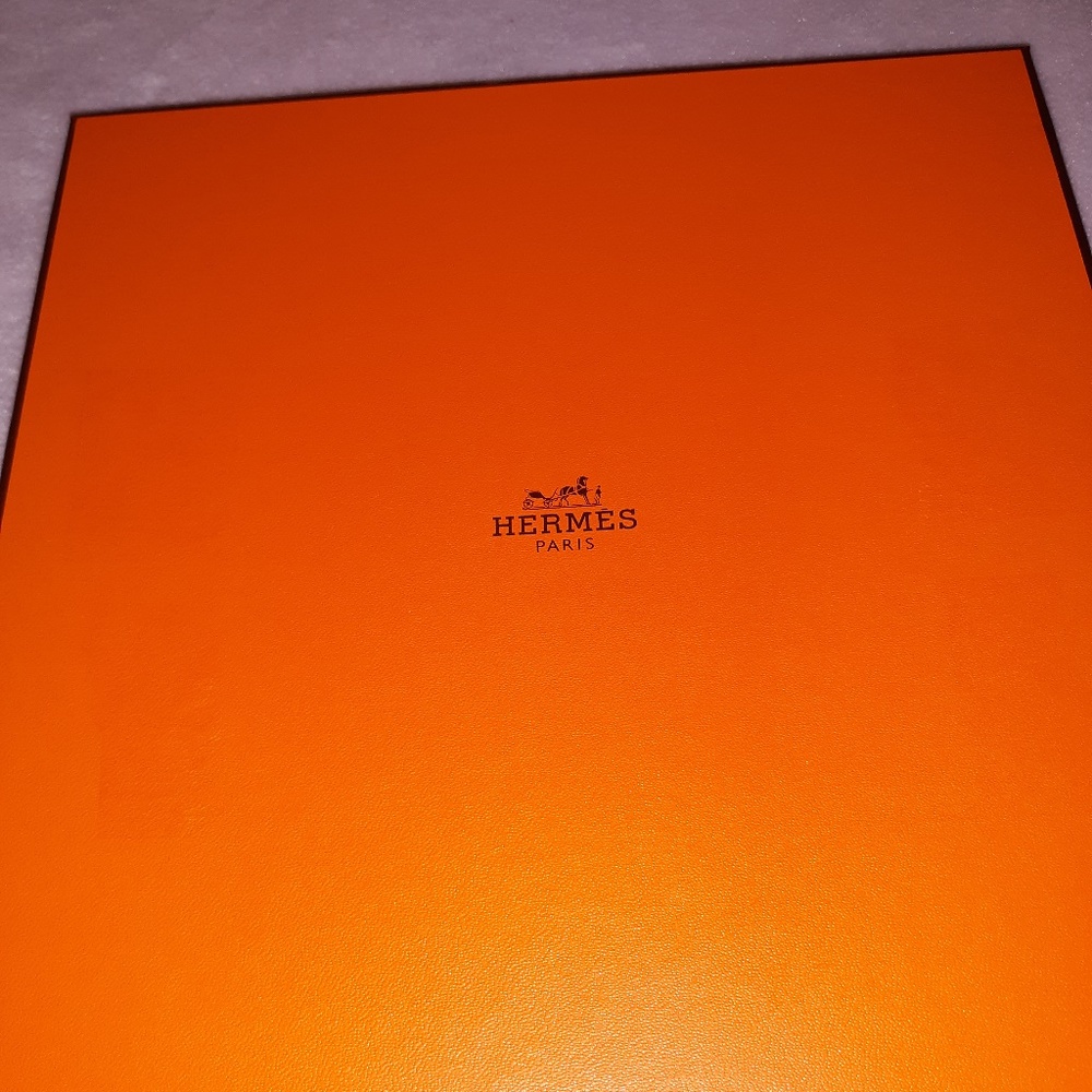 La Musique Des Spheres Scarf by Hermes Paris